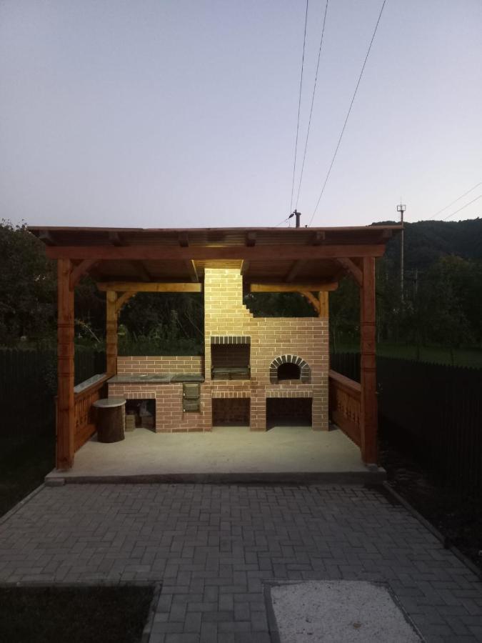 Casa Edy Vişeu de Sus Exterior foto